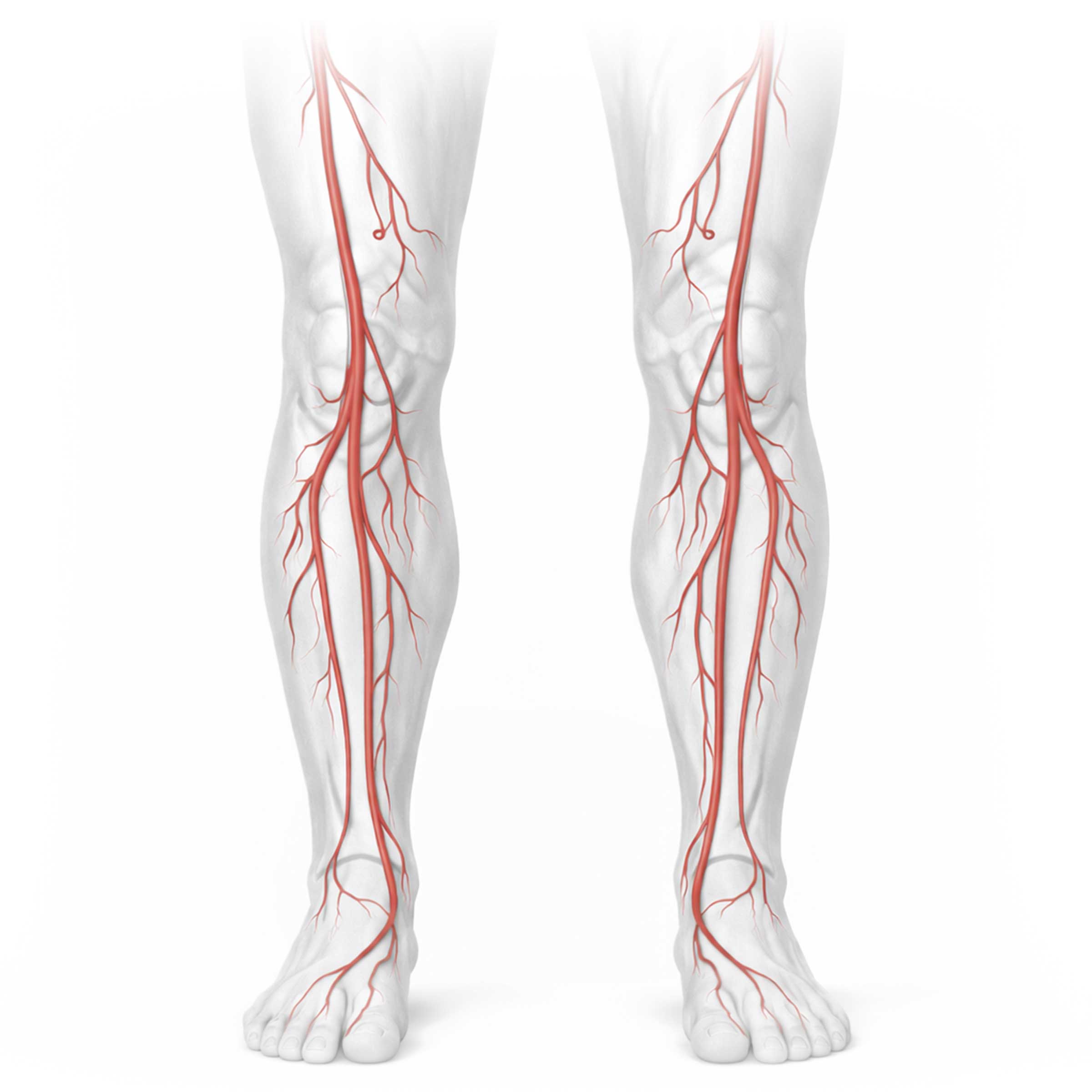 Peripheral Training and Education